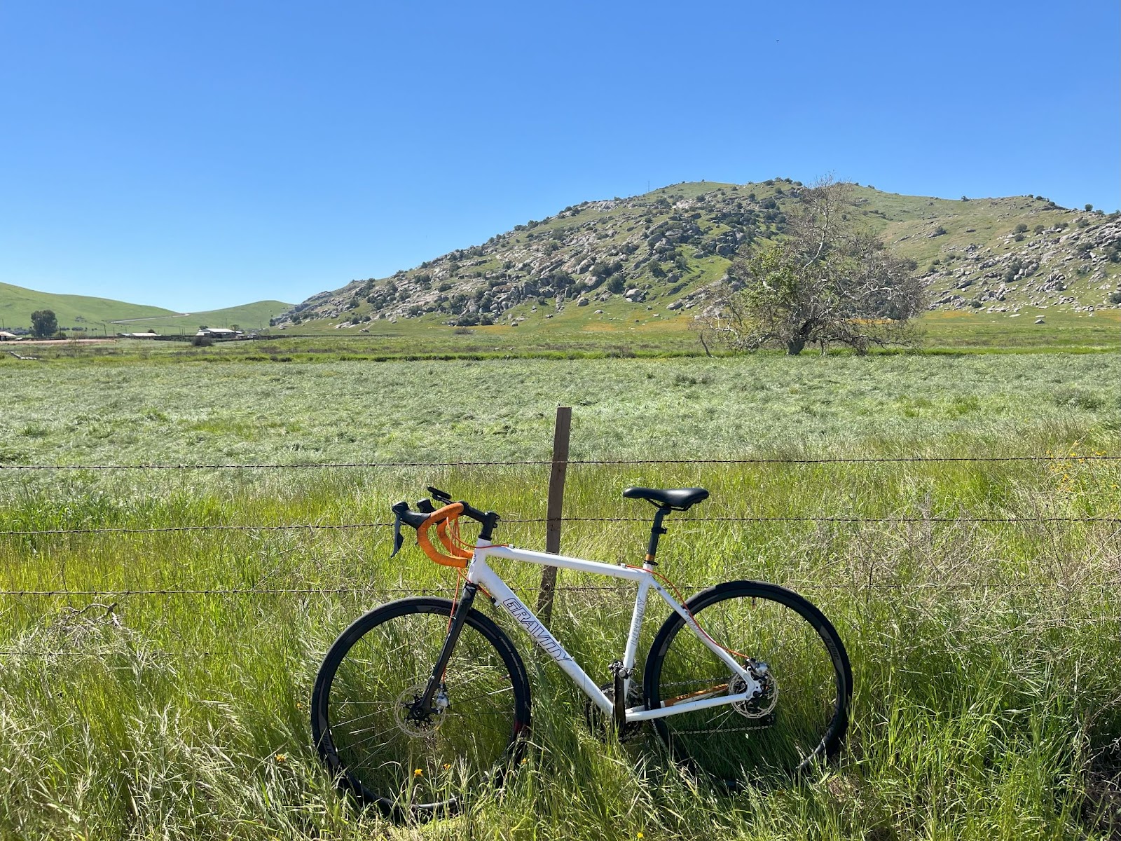 A bicycle in a field